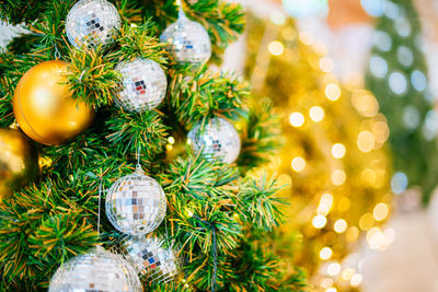 Close-up of christmas tree