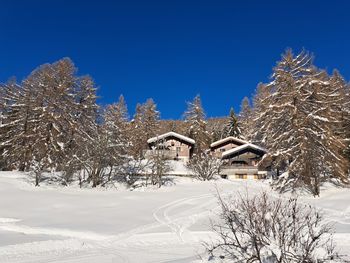 snow