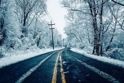 Street amidst snow covered trees