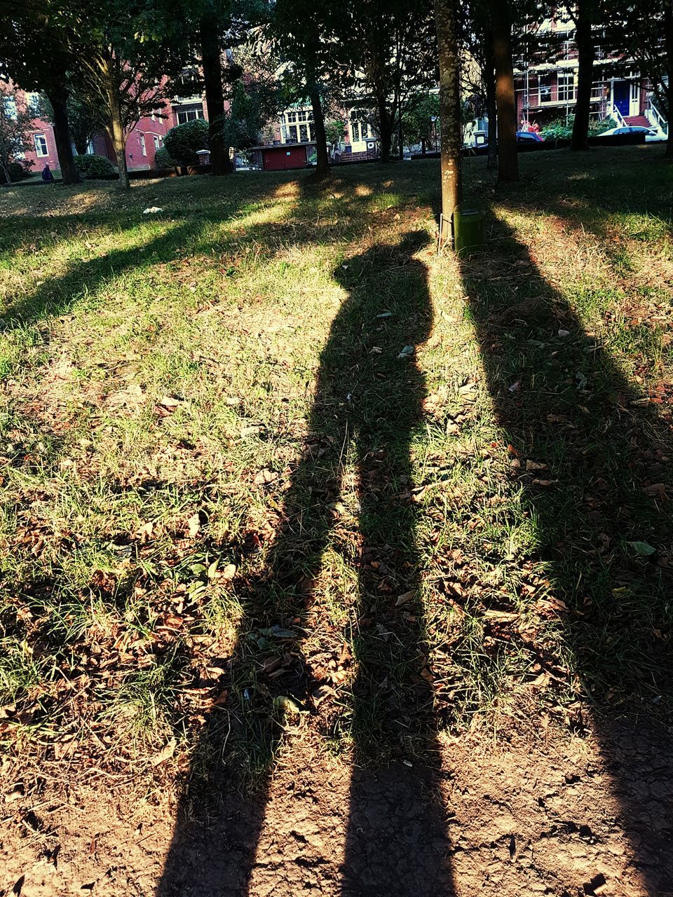 SHADOW OF PEOPLE ON GRASSY FIELD