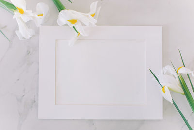 High angle view of white flowers on table