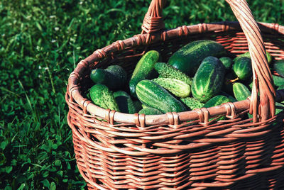 High angle view of vegetables in basket