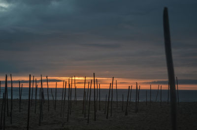 Silhouette wooden posts on beach against sky during sunset