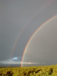Scenic shot of rainbow over field