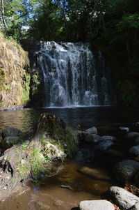 River flowing through forest