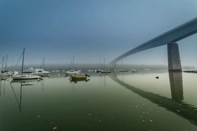 Boats moored in harbor against sky