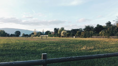 Scenic view of field against sky