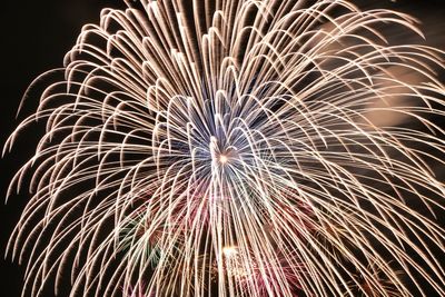 Low angle view of firework display at night