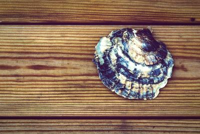 Close-up of wooden plank