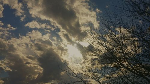 Low angle view of trees against cloudy sky