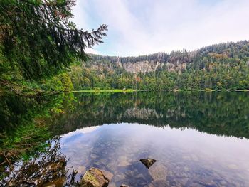 Scenic view of lake in forest against sky