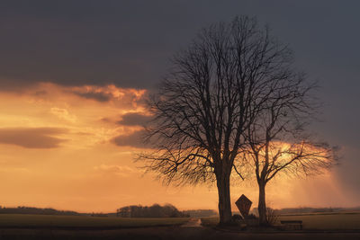 Silhouette bare tree against sky during sunset