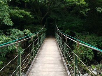 Footbridge amidst trees in forest