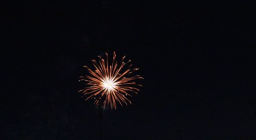 Low angle view of firework display against sky at night