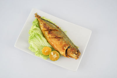 High angle view of food on white background