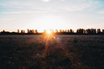 Sunlight streaming on field against sky during sunset