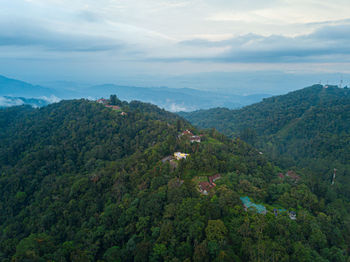 Aerial view of greenery highland in fraser's hill, pahang, malaysia.