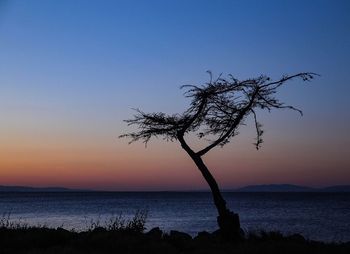 Silhouette tree by sea against clear sky