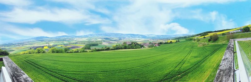 Panoramic view of agricultural field against sky