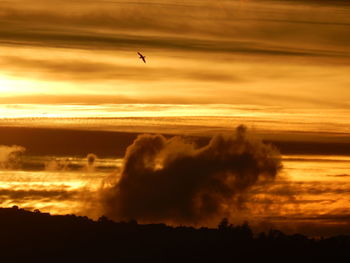 Scenic view of silhouette trees against sky during sunset
