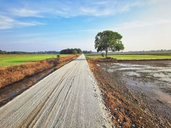 Road amidst trees on field against sky