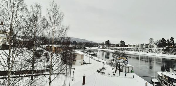 Snow covered plants by lake against sky