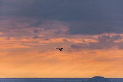 Silhouette airplane flying over sea against sky during sunset