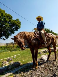 Low angle view of man sitting on horse on field