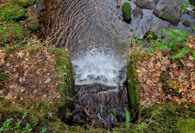 High angle view of grass and water