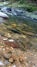 Rocks in stream