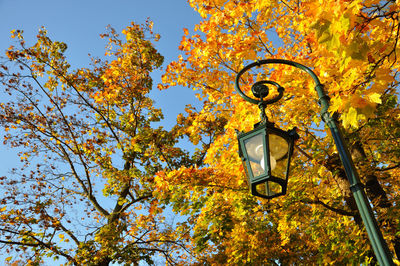 Low angle view of street light against sky