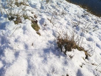 High angle view of snow covered field