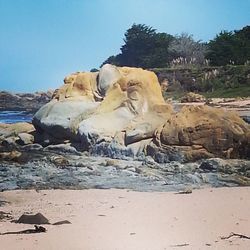 View of trees against blue sky