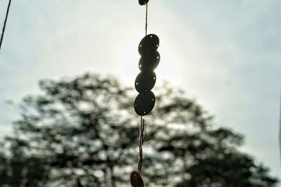 Low angle view of swing hanging against sky