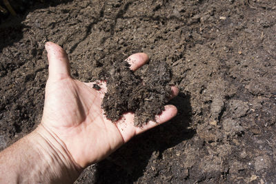 Close-up of human hand