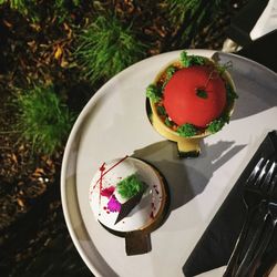 High angle view of fruits on table