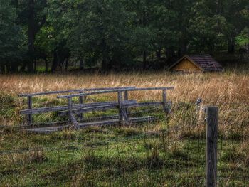 Fence on field by trees