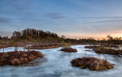 Scenic view of landscape against sky during winter