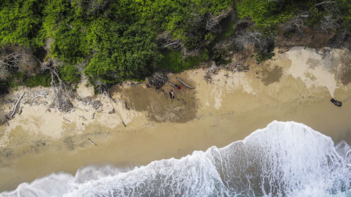 High angle view of rocks and plants in water