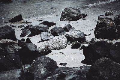 Rocks on shore