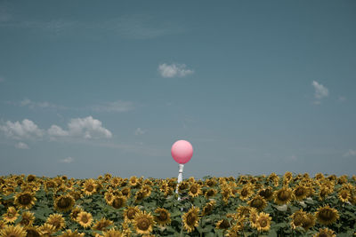 View of hot air balloon against sky
