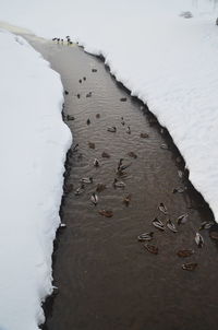 Umeå city during winter