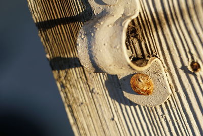 High angle view of rusty metal on wood