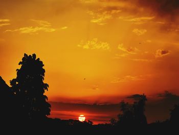 Silhouette trees against orange sky