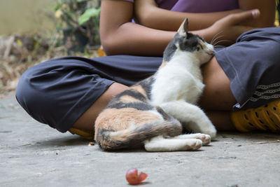 Low section of person with cat relaxing on floor
