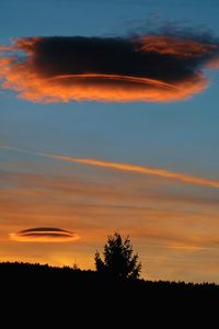 Silhouette trees against dramatic sky during sunset