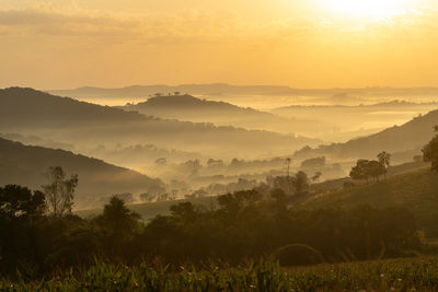 Scenic view of landscape against sky during sunrise