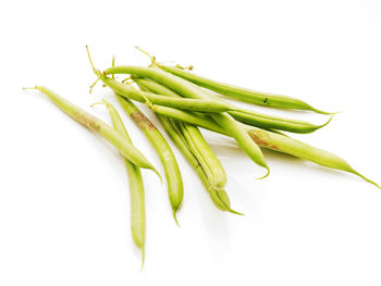 Close-up of green leaf over white background