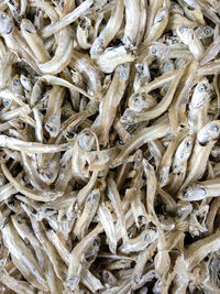 Full frame shot of fish for sale