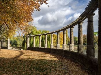 View of autumn trees against cloudy sky